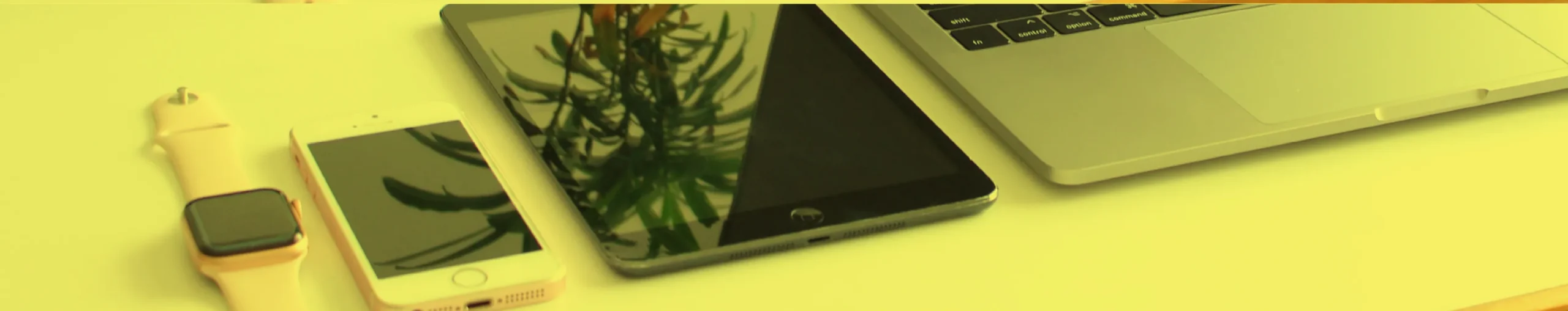 広告運用サービスのイメージ画像