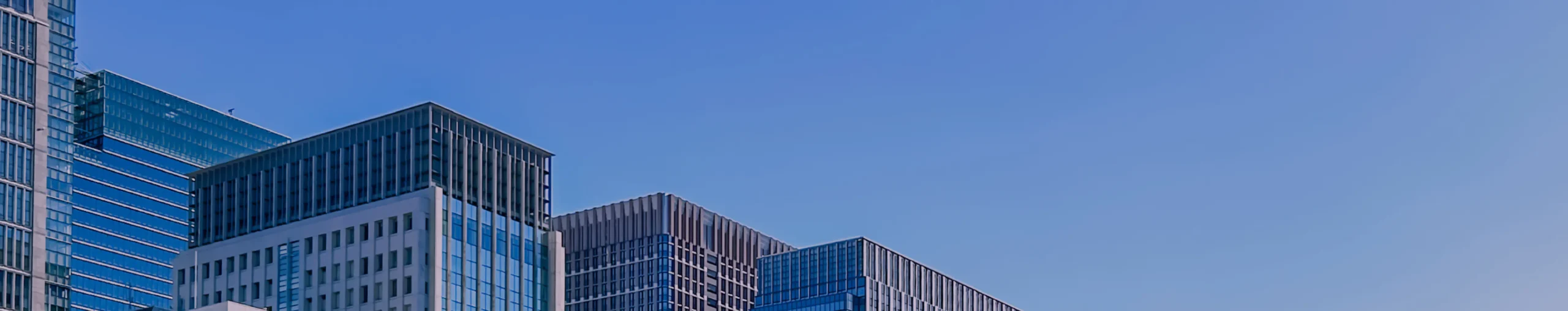 導入事例制作サービスのイメージ画像